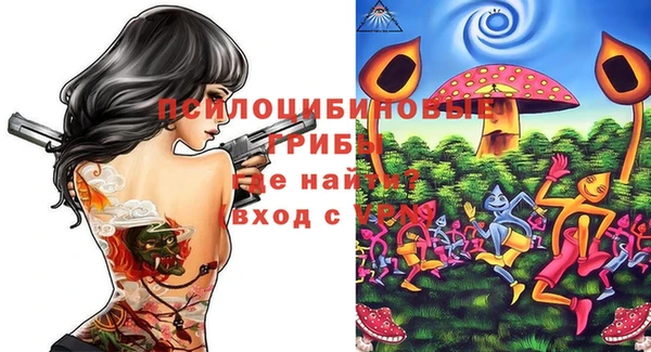 винт Нягань