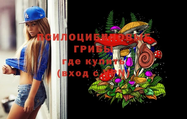 амф Вязники