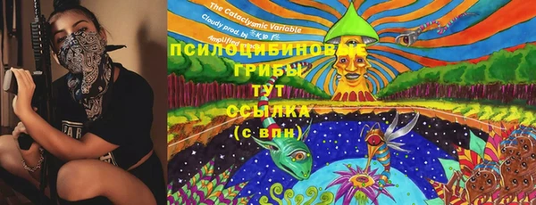 амф Вязники
