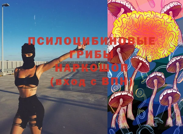 mix Вяземский