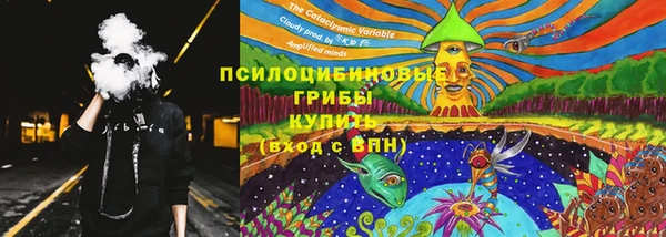mix Вяземский