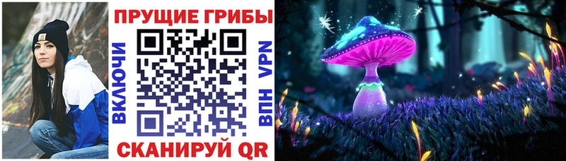даркнет наркотические препараты  Елец  Псилоцибиновые грибы Psilocybe 