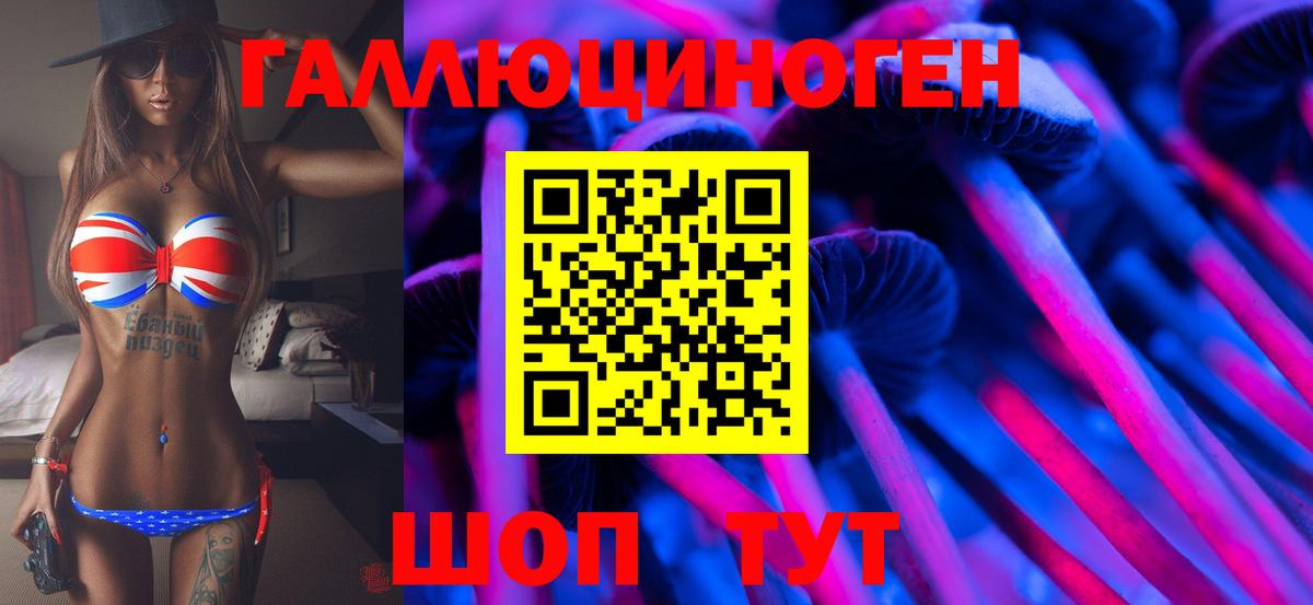 закладки  Псилоцибиновые грибы мицелий  Вход с VPN  Елец 